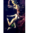 Gallery of Valery Anzilov
