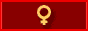 Top 100 Women Artisists